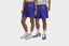 Jordan Jumpman Poolside Shorts (Purple)