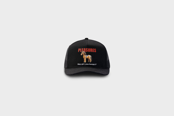 Pleasures Pony Trucker Hat (Black)