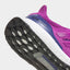 WMNS Adidas Ultraboost 1.0 (Flash Pink/Flash Pink/Semi Night Flash)