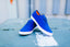 WMNS Vans Authentic Lo Pro (Blueprint/Camellia)
