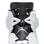 Air Jordan 6 Retro (White/Black)