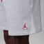 Jordan Brooklyn Shorts (Neutral Grey/Heather/University Red)