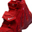 Nike Air DT Max ‘96 (University Red/White-Red Crush)
