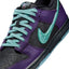 Nike Dunk Low Retro LTD HWN (Black/Artisan Teal)