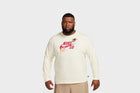 Nike SB Long Sleeve Skate T-Shirt (Coconut Milk)