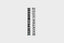 Parra Super Nothing Club Scarf (Black)