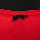 Nike Alumni Shorts (Black/Red)