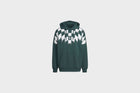 Adidas Rekive Graphic Hoodie (Mineral Green)