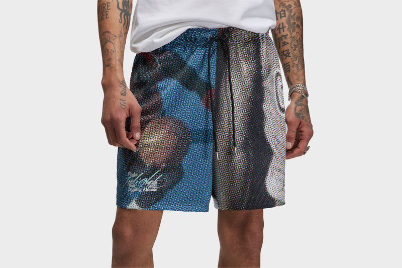 Air Jordan Graphic Shorts (Multi)