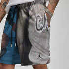 Air Jordan Graphic Shorts (Multi)