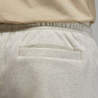Jordan Flight Artist Series Fleece Pants (Oatmeal/Heather/Sail/University Red)