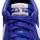 Nike SB Zoom Blazer Low Pro GT (Concord/Phantom-Concord)