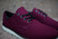 Vans Desert Point (Port Royale)